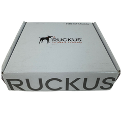Ruckus i100 IoT USB Module (902-I100-WW00)
